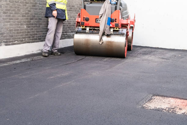 Best Stamped Concrete Driveways  in Curtice, OH